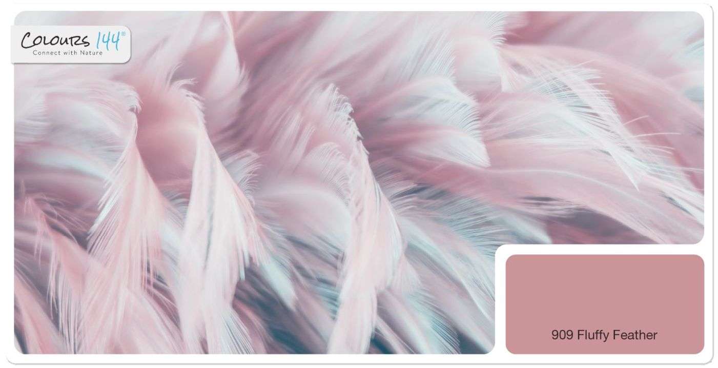 feine-premium-innenfarbe-von-colours144-farbton-fluffy-feather-909-rosa-wandfarbe-2