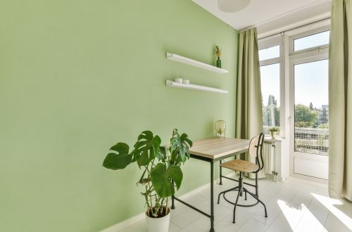 Colour: Palmera Verde No. 404