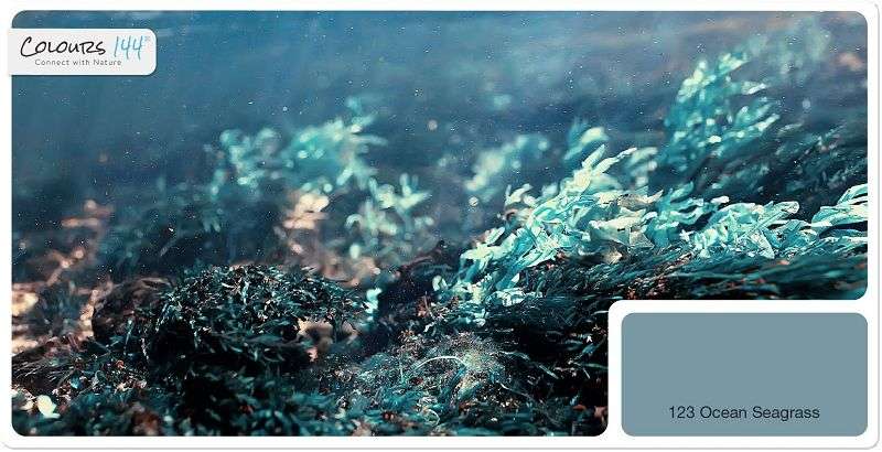 premium-innenfarbe-natur-wandfarbe-blau-tuerkis-wohnzimmer-colours-144-ocean-seagras-1