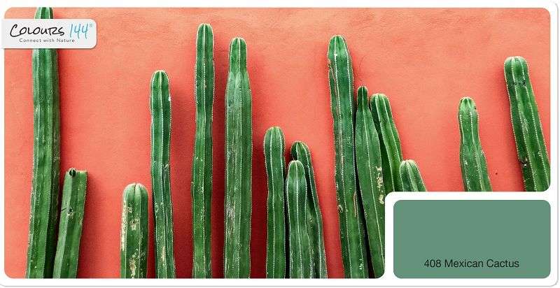 colours144-mexican-cactus-408-raumgestaltung-farbgestaltung-farbkonzepte-wohnzimmer-schlafzimmer-kinderzimmer-esszimmer-treppenhaus-2