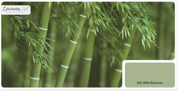 bambus-gruen-als-innenwandfarbe-2