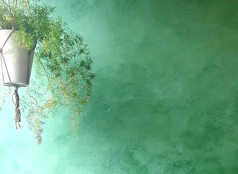 wandgestaltungen-glamora-fugenlose-baeder-boeden-lehmputze-kalkputze-tapeten-in-duschen-dreieich-frankfurt-langen-roedermark-040