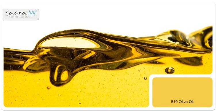 goldgelbe-wandfarbe-810-olive-oil-2