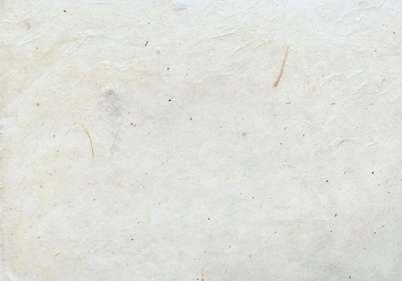 glamtrace-von-glamora-tapete-aus-cellulose-rein-natürlich-ohne-pvc-frei-wandgestaltung-wohngesundheit-02