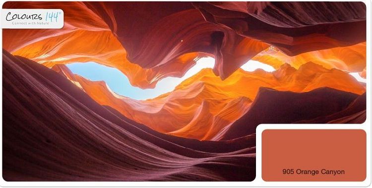 warmtonige-innenwandfarbe-orange-905a