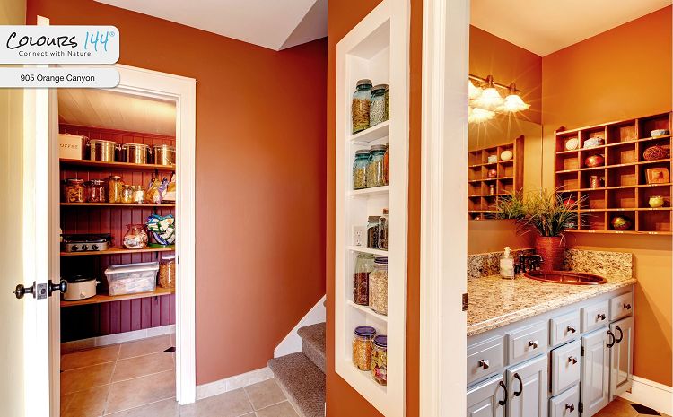 warmtonige-innenwandfarbe-orange-905b